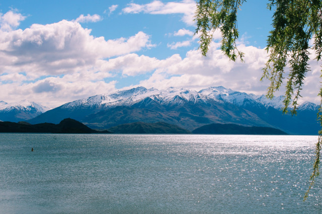 A tree overhangs a lake with mountains in the background